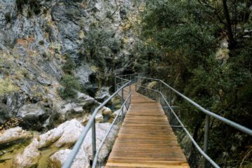 Eine Brücke führt über einen Gebirgsbach