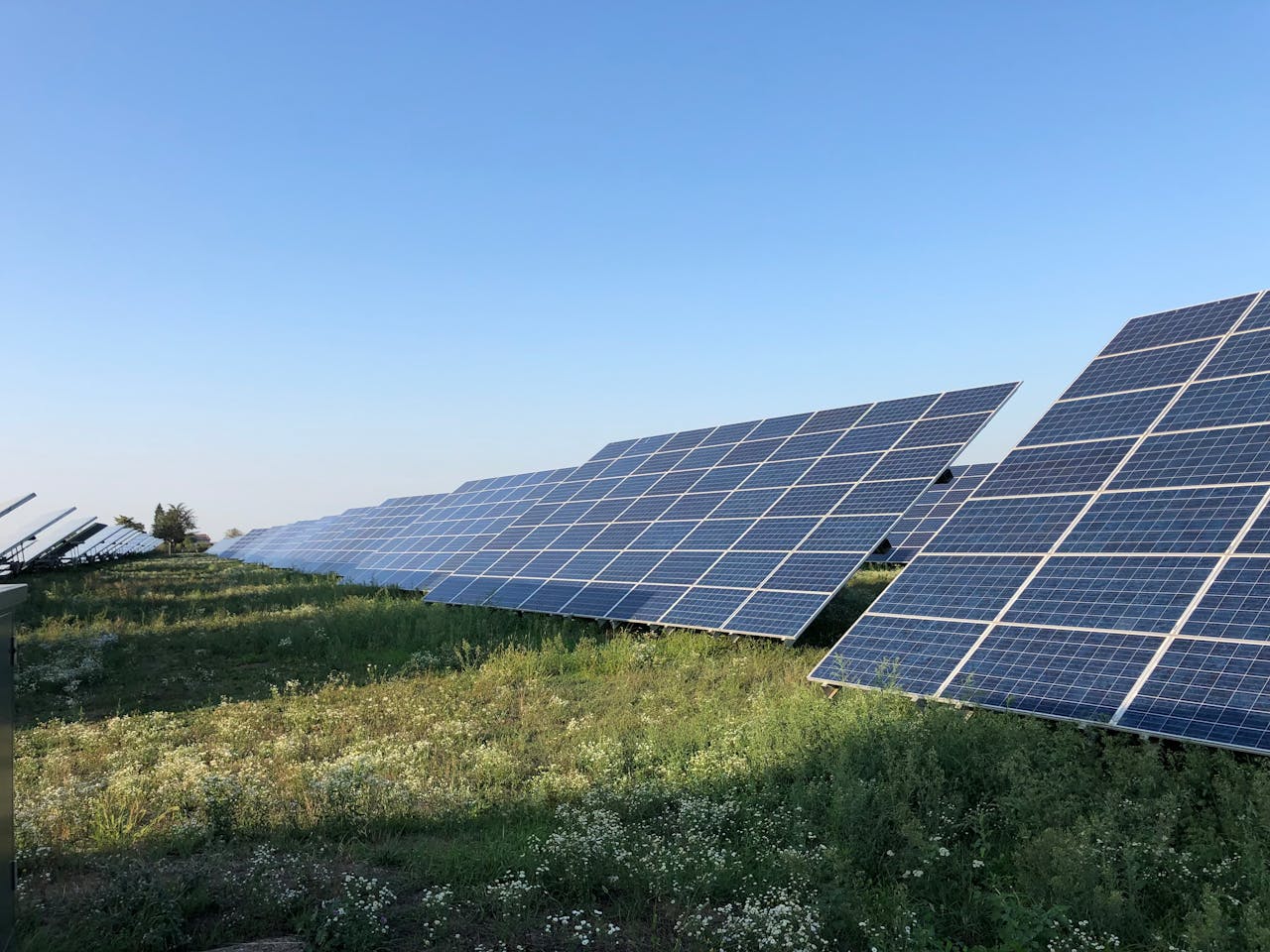Das Bild zeigt Photovoltaik-Module in einem Solarpark.