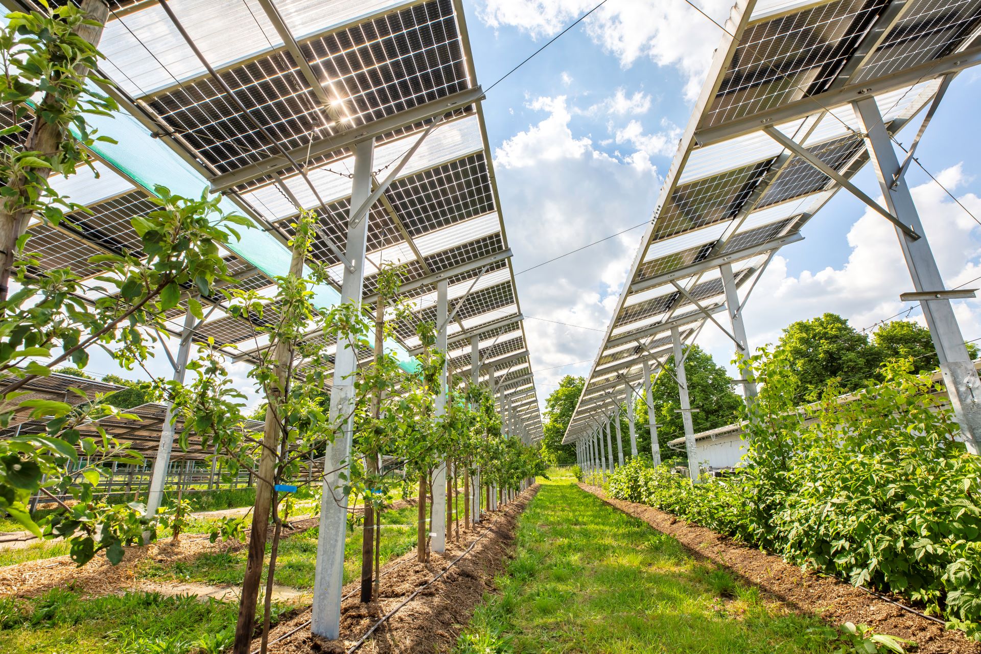 Bild: © Christina Riedl, www.cr-view.com