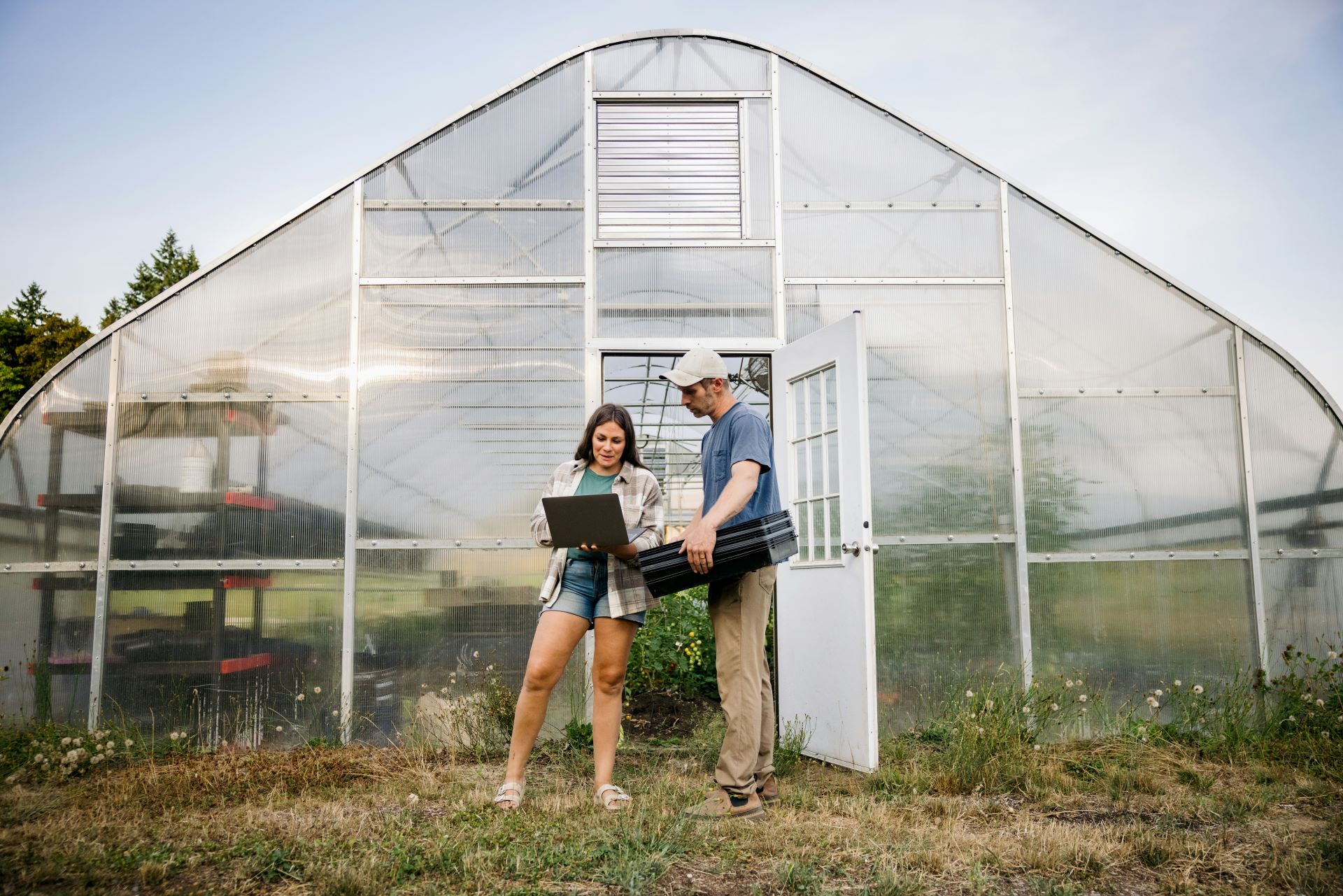 Zwei Personen arbeiten mit einem Laptop außerhalb des Gewächshauses
