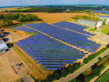 Solarpark Friedland aus der Vogelperspektive - sommerliche Vegetation